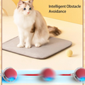 Bouncetug Play Ball – Interactive Pet Toy